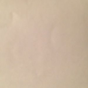 Meet your Posher, Tabitha